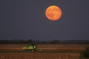 super-moon-grain-fields