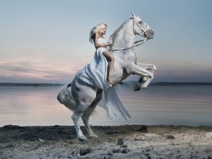 white-horse-with-lady-rider