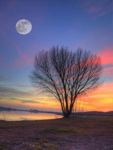 full moon tree by the river_edited